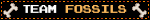 TEAM FOSSILS